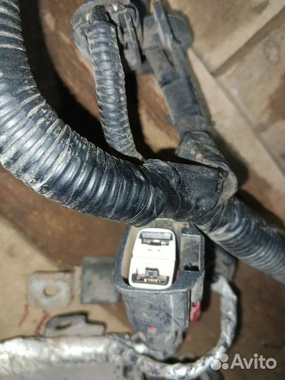 Проводка акб Ford Explorer 5