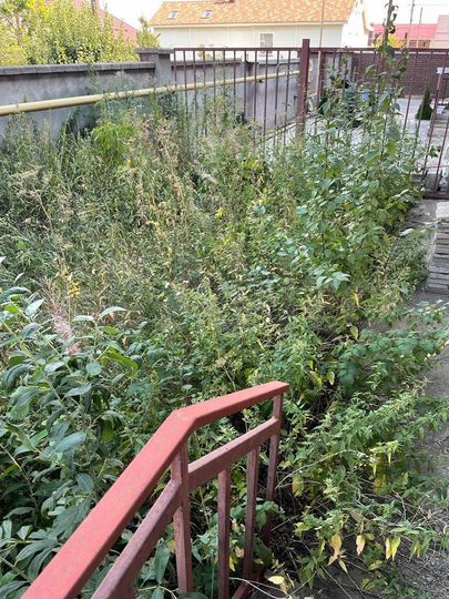 Таунхаус 280 м² на участке 2 сот.