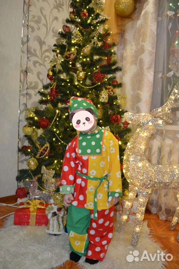 Новогодний костюм Петрушка