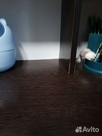 Продаю стол