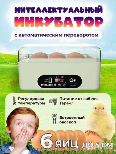 Инкубатор для яиц автоматический