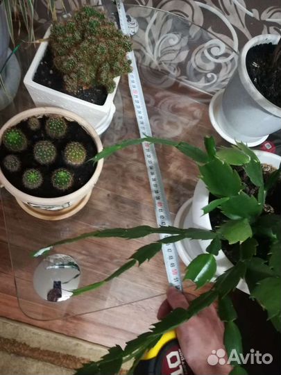 Подставка для цветов из стекла