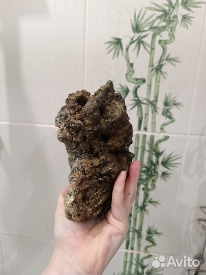 Аквариум морской