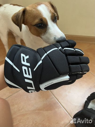 Краги bauer vapor 11’’