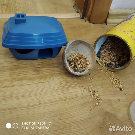 Новое Для Хомяка,домик,и птицы домашних питомцев