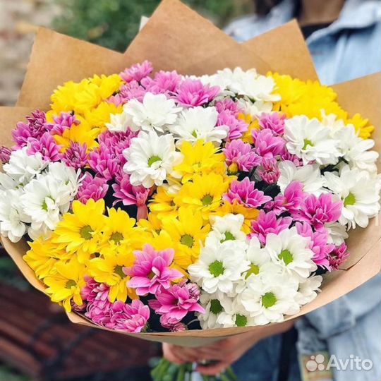 Хризантемы микс 7 шт
