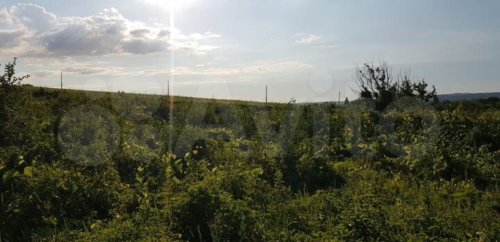 Участок 25 сот. (СНТ, ДНП)