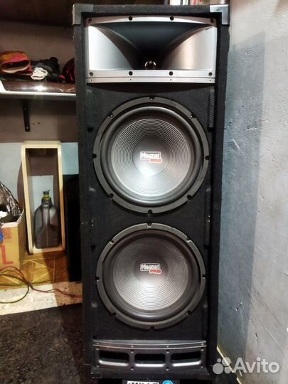 Magnat PRO PA212 концертные колонки