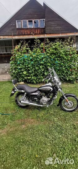 Bajaj avenger 220 cruise