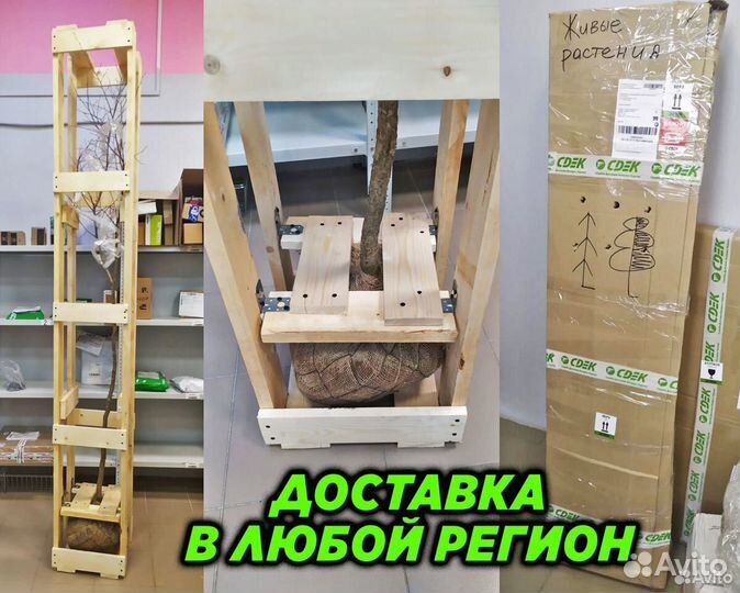 Травосмесь для рекультивации 10кг