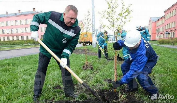 Разнорабочий с проживанием