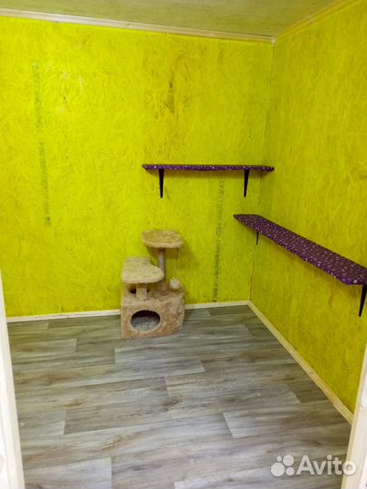 Зоогостиница