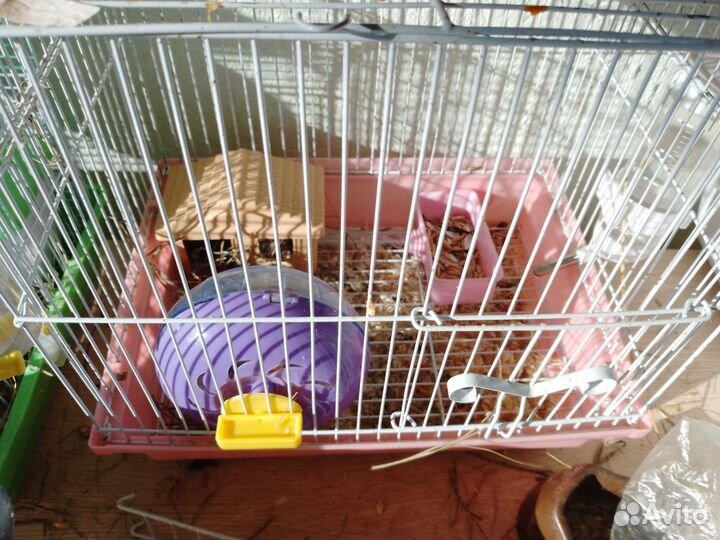 Клетка для грызунов бу
