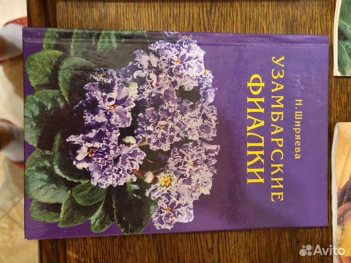 Садоводство, овощиводство, фиалки