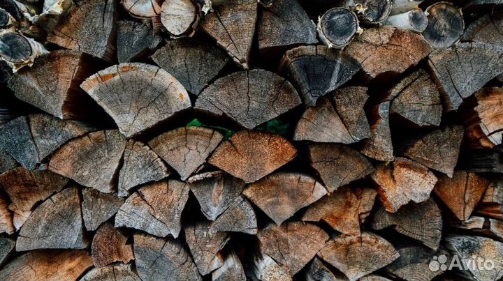 Дрова с Приморска