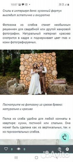 Спилы из дерева