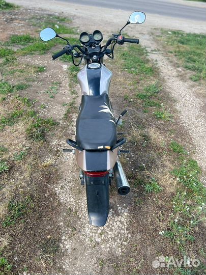 Racer RC150-23 Tiger