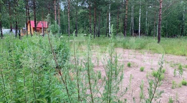 Участок 12,3 сот. (СНТ, ДНП)