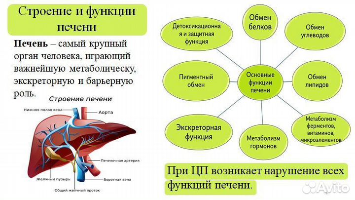 Делаю презентации на заказ