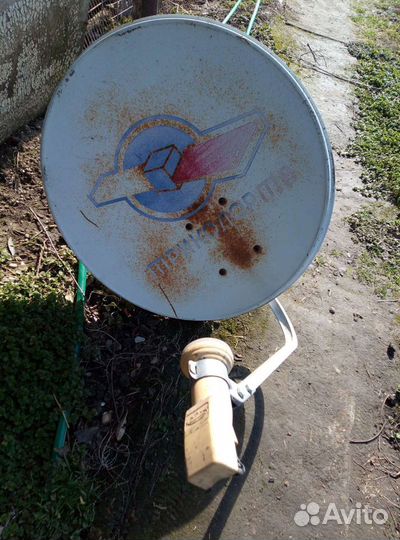 Тарелка триколор