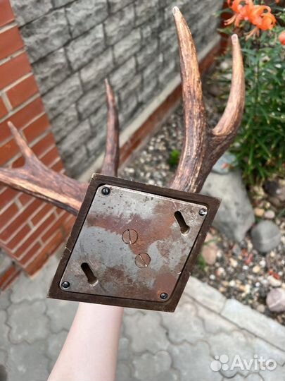 Рога вешалка