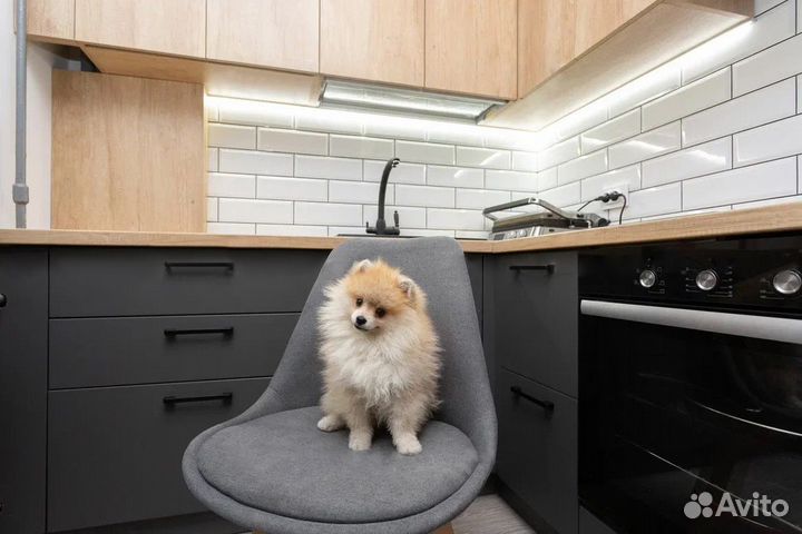 Цена за всю кухню. Кухня угловаяCN:015597