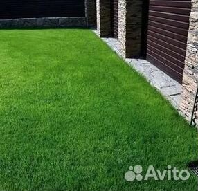 Газон рулонный