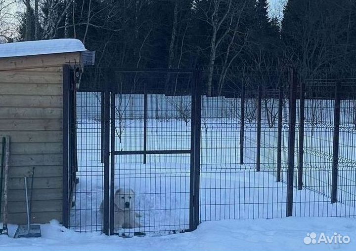 Забор из 3Д сетка для вольеров