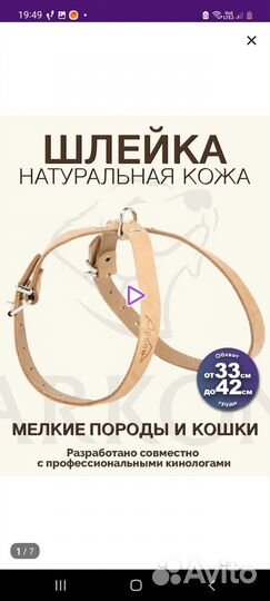 Шлейка для собак и кошек