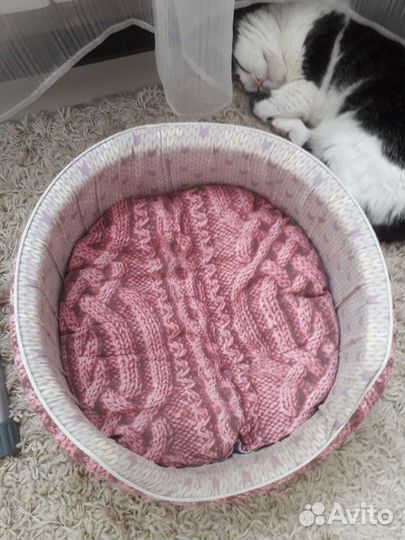 Лежанка Великий кот