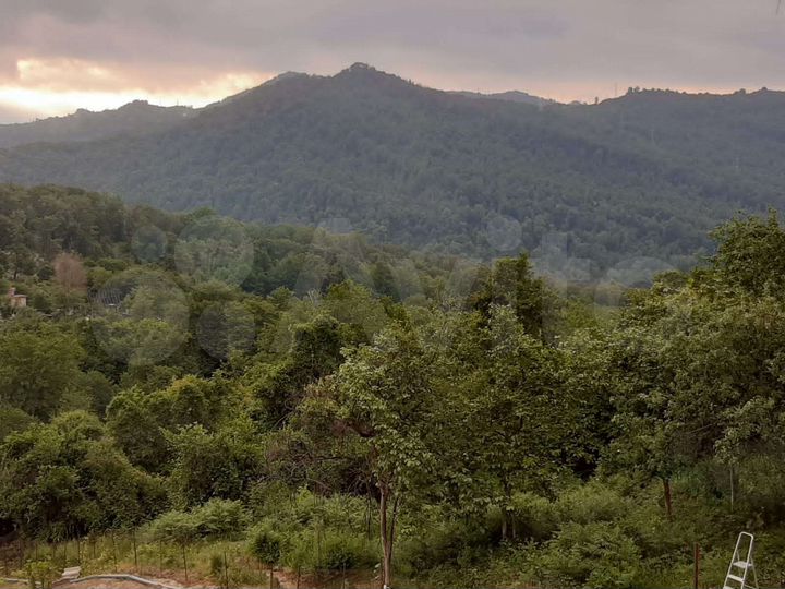 Участок 3 сот. (СНТ, ДНП)