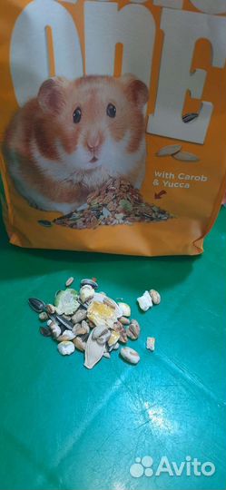 Клетка для джунгарского хомяка