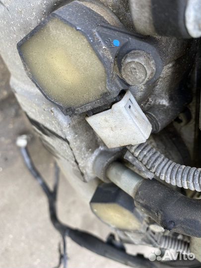 Катушка зажигания EJ253 Subaru Legacy BR BR9 BM9