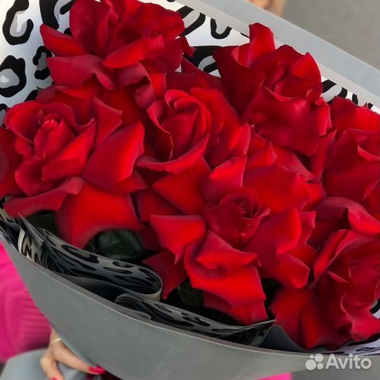 Розы (эквадор)