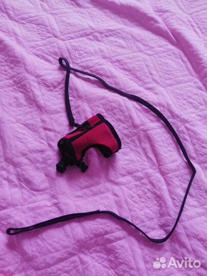 Шлейка с поводком для хорька