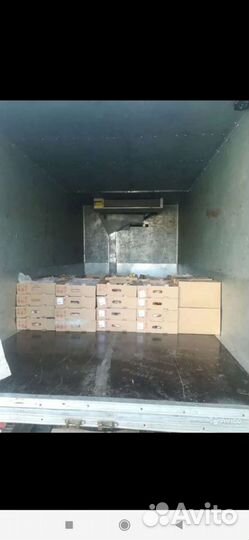 Грузоперевозки, рефрижератор Газель 2;3;5 тонн