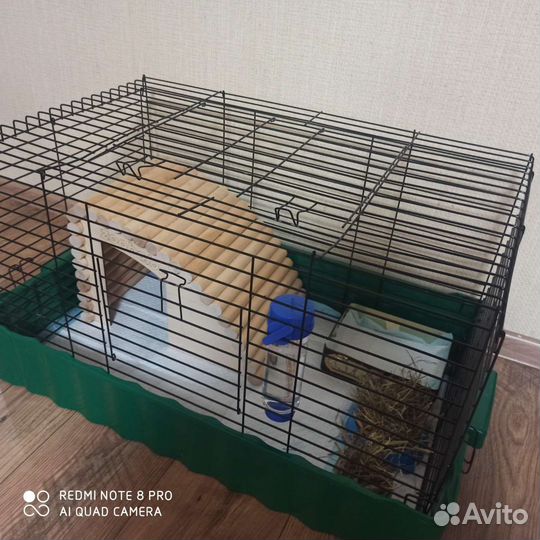 Декоративный кролик с клеткой