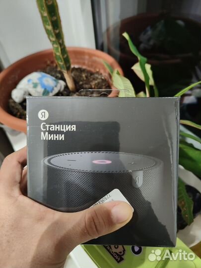 Колонка алиса мини
