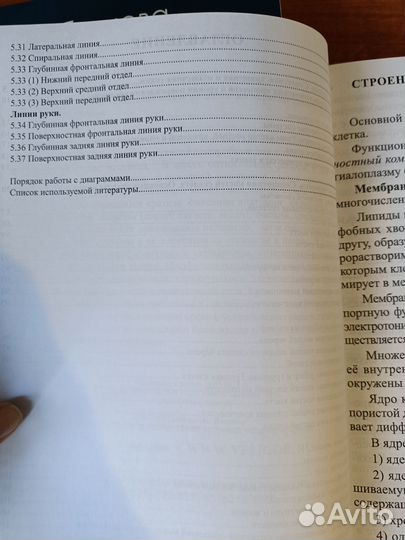 Ольга Лобышева. 