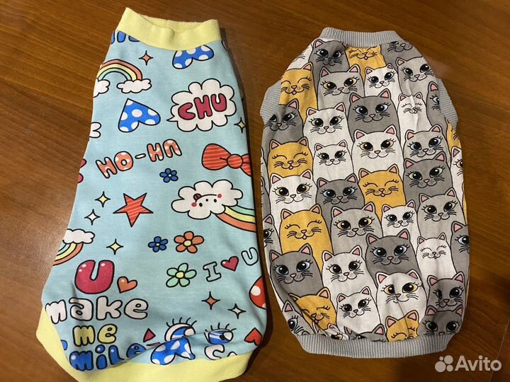 Одежда для сфинкса