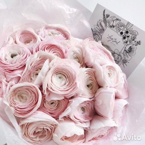 Ранункулюсы Букеты из ранункулюсов Доставка