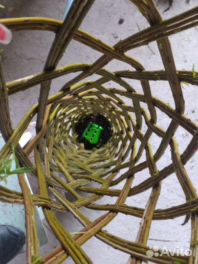 Русская Пальма из живой ивы