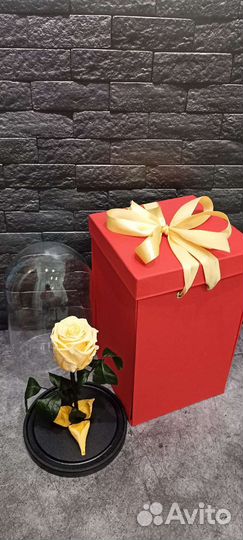 Розы в колбе