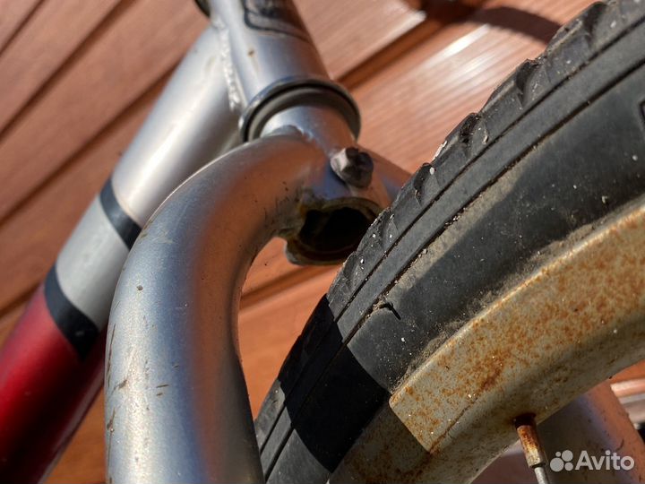 Велик бу 2 года