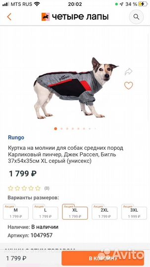 Куртка для собаки