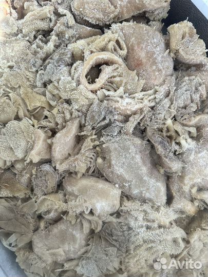 Мясо говядина для собак