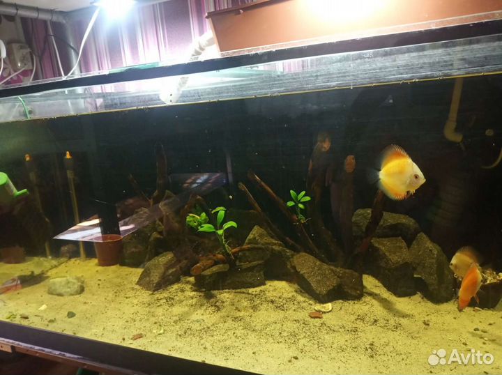 Аквариум