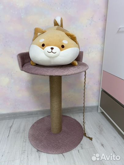 Когтеточка