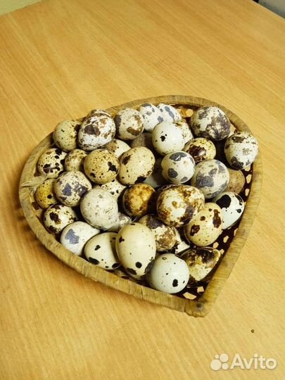 Яйца перепелиные