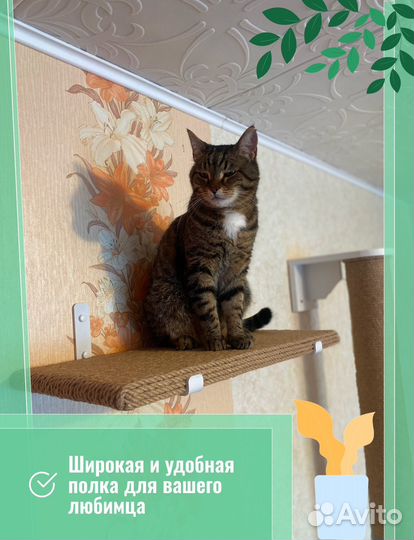 Когтеточка для кошек